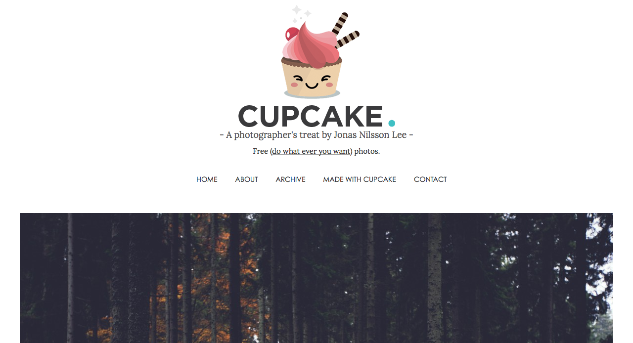 Cupcake  - A photographer's treat by Jonas Nilsson Lee -